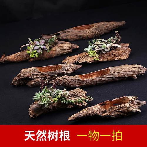 测试推荐木古典外表自然形成