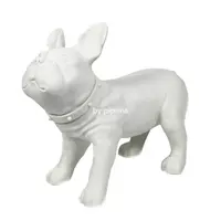 Белая стоящая собака