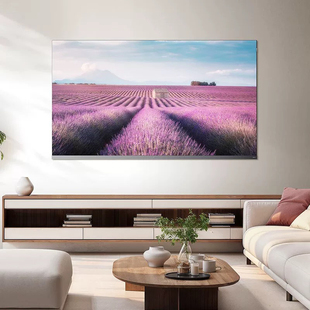 75英寸 64GB 288赫兹高刷 蝶翼超显屏 TCL 量子点电视机 75P11K