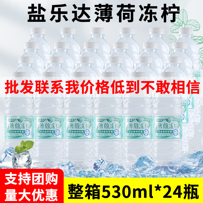 盐乐达薄荷水530ml*24瓶
