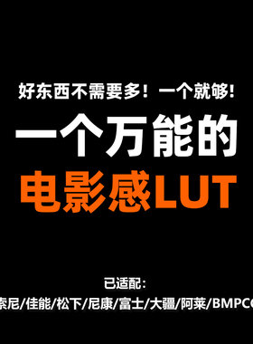 索尼灰片Slog还原709转换LUT预设剪映PR达芬奇Sony佳能松下vlog