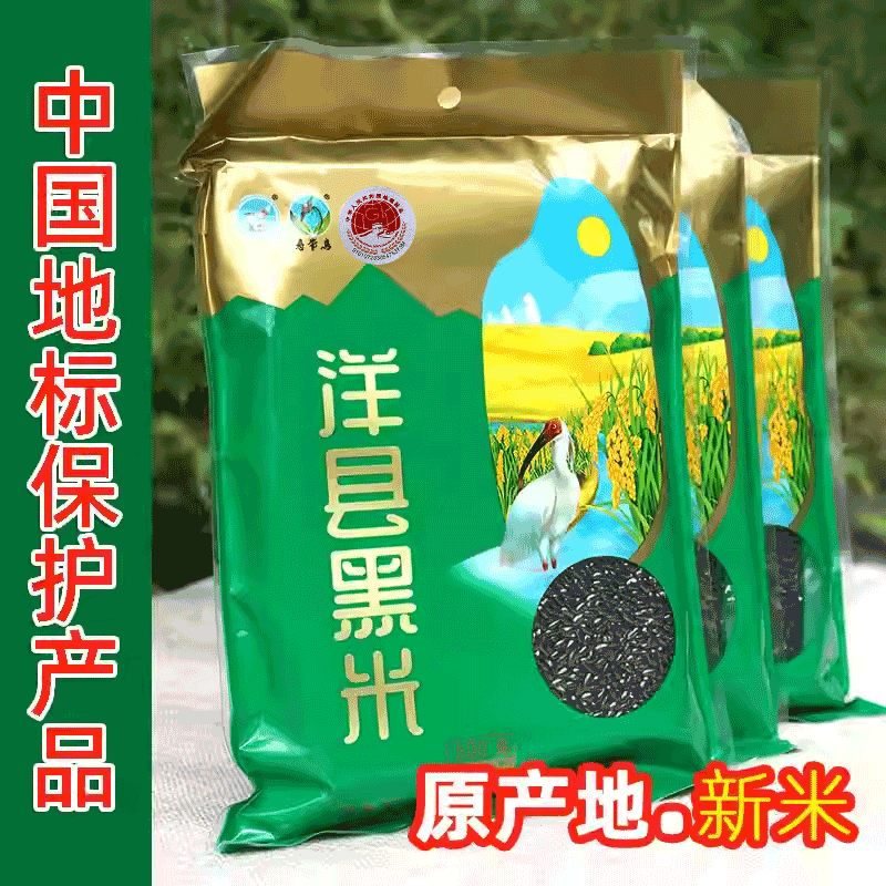 新米陕西汉中特产洋县黑米 寿带鸟正宗五彩月子血黑粗粮杂粮米1斤
