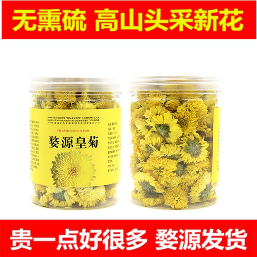 无硫新花婺源皇菊绣球菊头采高山