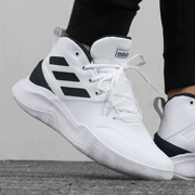 Giày thể thao nam Adidas 2019 PRO SPARK Low giày chiến đấu cơ bản giày bóng rổ - Giày bóng rổ