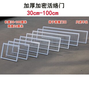 鸽子活络门加密撞门不锈钢进笼口跳笼门信鸽赛鸽用品用具只进不出