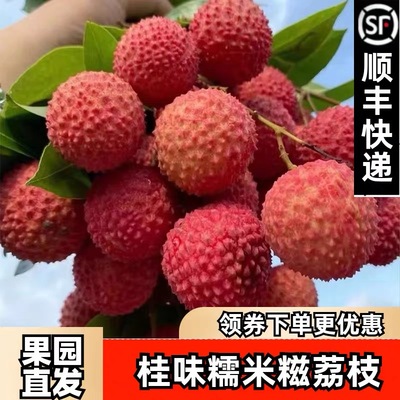 增城荔枝桂味美糯米慈糍广东州孕妇水果园新鲜现采摘冷链空运直发