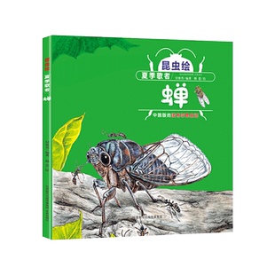 夏季歌者蝉硬壳精装绘本图画书昆虫绘手绘科普3岁4岁5岁6岁让孩子们了解蝉的图画书正版童书幼儿园书单小班中班大班