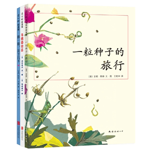 数一数亲了几下乌鸦面包店硬壳精装绘本图画书用数亲亲的方式边玩边数数跟宝宝说晚安适合2岁3岁4岁5岁亲子共读爱心树正版童书