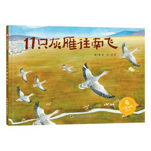 11只灰雁往南飞硬壳精装绘本孩子探索热爱祖国的诗意科学绘本许多民族的风土人情适合0-3-6岁幼儿亲子阅读书籍中国中福会正版童书