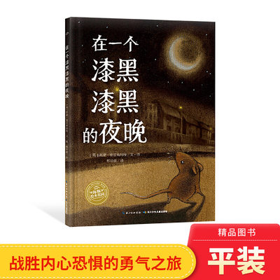 在一个漆黑漆黑的夜晚平装海豚绘本花园培养孩子的观察能力和推理能力适合3岁以上正版童书