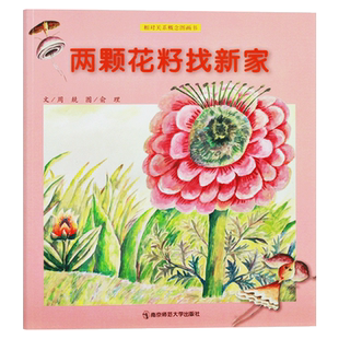 两颗花籽找新家平装软封面儿童绘本相对关系概念图画书之一学龄前儿童认知发展生动有趣的故事中富含相对关系