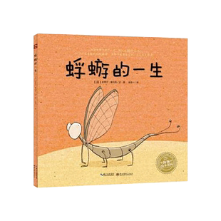蜉蝣的一生平装图画书适合4岁以上用一只小昆虫的故事为读者展示有意义和价值的生命儿童哲学启蒙生命教育海豚绘本花园正版童书