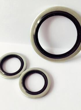 自定芯英制组合垫圈BS/A304不锈钢316氟橡胶FKM1寸G1/2G3/8G3/4G2