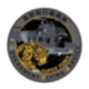 「香港GFS」飞行服务队AS332超级美洲豹任务章魔术贴