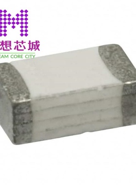 1206SFH200F/24-2 1206SFH300F/24-2 1206SFP100F/63-2