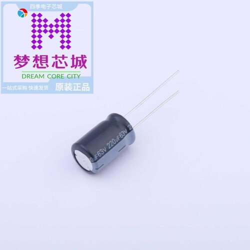 RGA221M1JBK-1016G RGA221M1VBK-0811 RGA221M1VBK-0811G