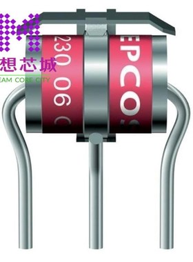 B88069X8430B502 B88069X8440B202 B88069X8470B252