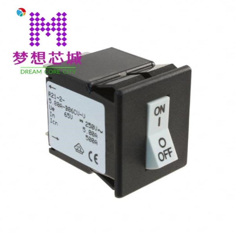 R21-2-15.0A-B06CV-V R21-2-2.00A-R06CV-V R21-2-20.0A-B02IV-V