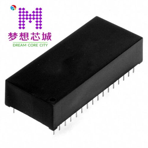 DS1250W-100+ DS1250W-100IND+ DS1250W-150