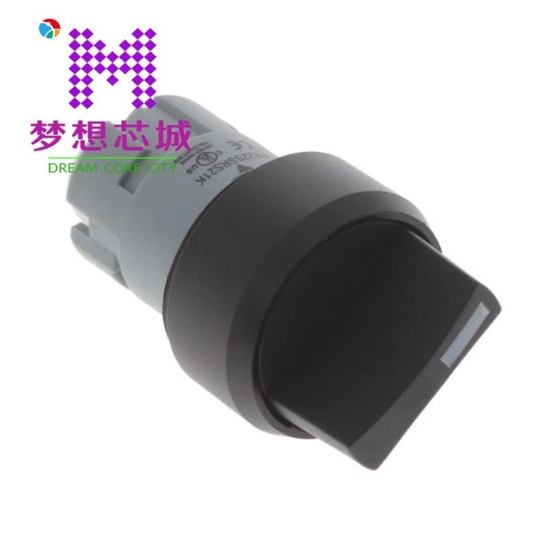 PB22SSRS31K PB22SSRS21K PB22SSRS32K