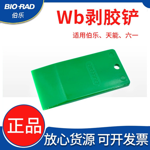 伯乐切胶板启胶器剥胶铲