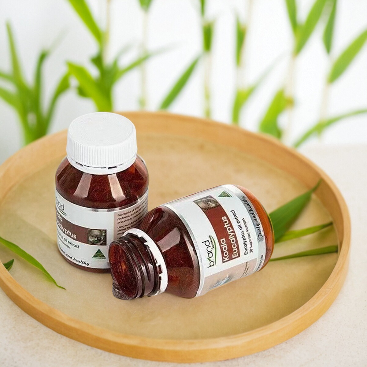 澳洲BRAND沛清片布兰德考拉桉树硬糖清柿清凉爽喉沛部清道夫喉宝