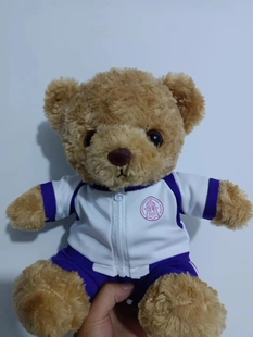 清华附中朝阳学校校服熊公仔