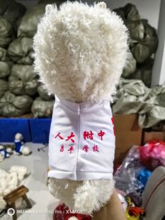 人大附中昌平学校校服羊驼