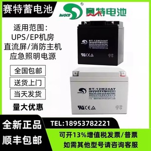 赛特BT 38AH消防主机北大青鸟海湾松江泰和安 12M24AT蓄电池12V17
