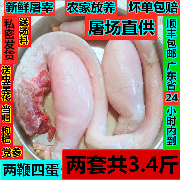 牛鞭新鲜3斤4两牛鞭两鞭四蛋放养黄牛鞭牛宝新鲜现杀牛鞭顺丰速运