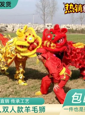 舞狮道具新款整套双人南狮舞狮子