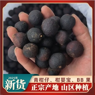 衢州陈皮柑干柑宝宝非新会胎桔小青柑果仔陈皮果茶生晒泡水泡茶