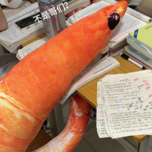 搞怪虾不是枕玩偶抱大号虾头毛绒玩具创意送人生日礼物食物哥们