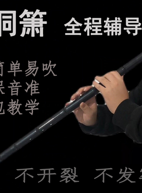 洞箫乐器仿玉树脂萧白色初学入门不开裂F古风八孔G调水管黑色长笛