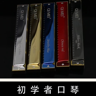 复音口琴乐器容易初学者简单入门学生24孔C调专业奇美演奏级小巧