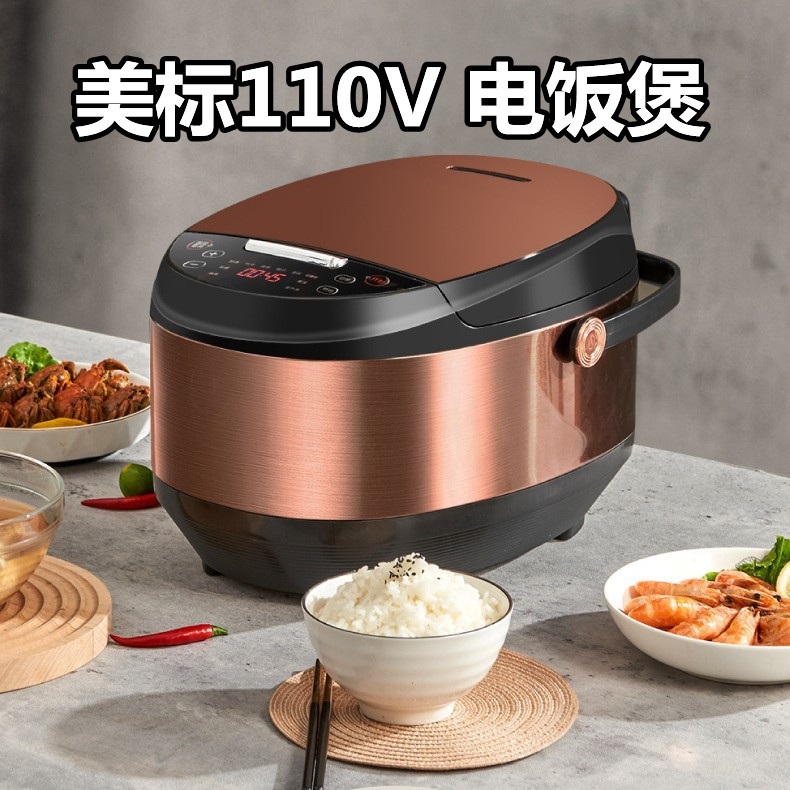 110v伏电饭锅美国加拿大台湾5L多功能大容量电饭煲家用定时出口