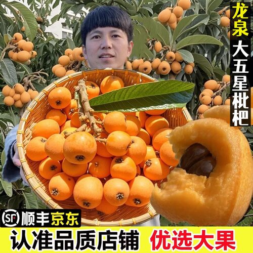 正宗四川龙泉大五星枇杷