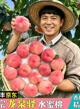 四川龙泉驿水蜜桃果园现摘