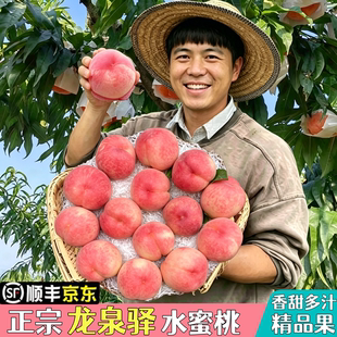四川现摘新鲜龙泉驿水蜜桃当应季时令孕妇水果香甜多汁京东顺丰