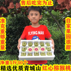 四川都江堰红心猕猴桃奇异果现摘新鲜孕妇水果30枚5斤中果