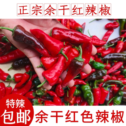 余干红辣椒枫树李家辣椒现摘
