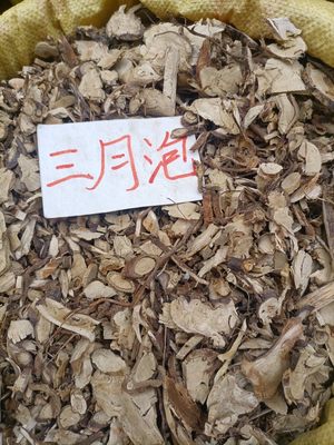 贵州野生三月泡根黔东南苗家苗寨原生态自然晒干无硫薰500克