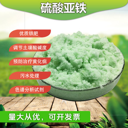 硫酸亚铁花肥料栀子花茶杜鹃花卉桂防黄叶盆栽营养土壤调酸水溶肥