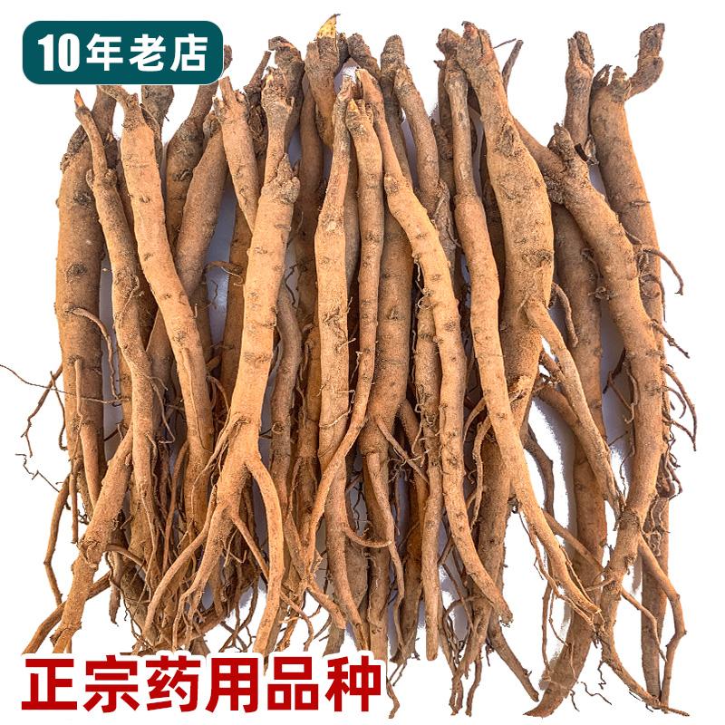 正宗药用牡丹苗新鲜现挖发货图片