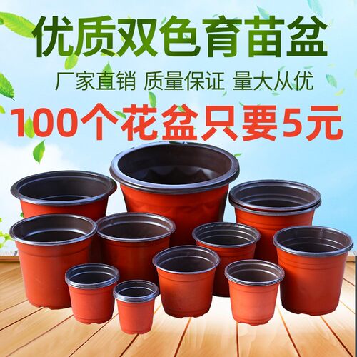 一次性草莓简易特大号育苗盆