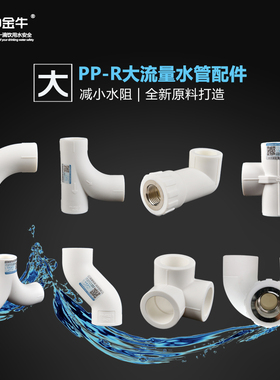 PP-R水管配件过桥弯头大流量顺水人字三通回水弯4分管件加厚接头
