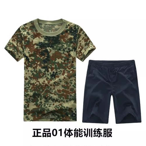 正品01体能训练服女T恤短裤透气凉爽速干短袖套装军训用品