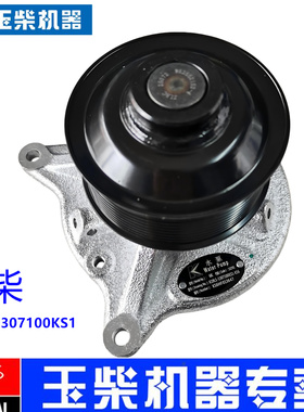 原装玉柴YC6K发动机K19L1-1307100KS1水泵客货车工程机械联合动力
