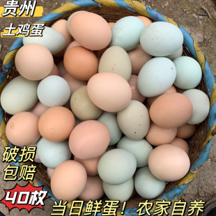 贵州山区农家粮食散养土鸡蛋草鸡蛋乌鸡绿壳蛋柴鸡蛋新鲜40枚 包邮