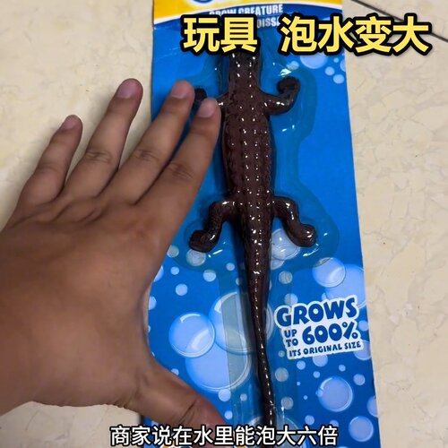 泡水变大六倍鳄鱼水宝宝玩具跨境新款儿童仿真孵化膨胀大蛇动物摆